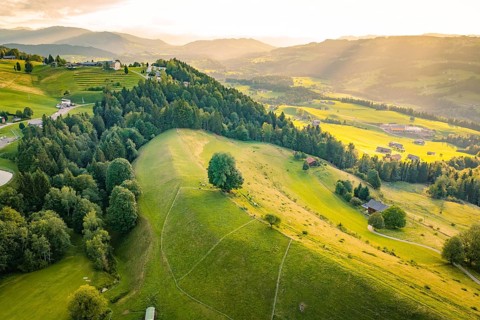 Hilly landscape with forest and meadows under the delicate light of dusk, Oberstaufen region,