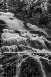 Mae Ya waterfall with cascading flowing water framed by lush tropical vegetation, black and white