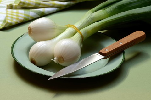 Spring onion with knife on plate, Allium cepa