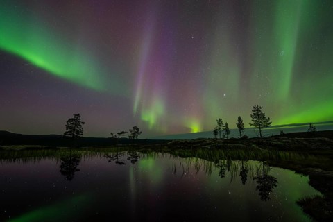 Northern Lights (Aurora borealis) reflected in a mountain lake, Norrbotten, Lapland, Sweden,