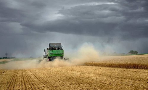 Combine harvester harvesting wheat on a field in the vertile and fruitful of Langes Feld north of