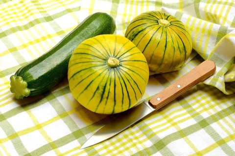 Zucchiolo and zucchini, zucchiolo is a cross between zucchini and cucumber, novelty
