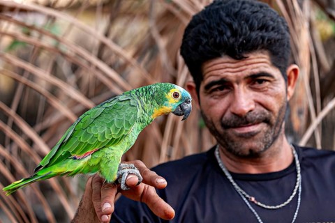 A man is holding a green parrot on his finger, surrounded by natural vegetation, a blue-fronted