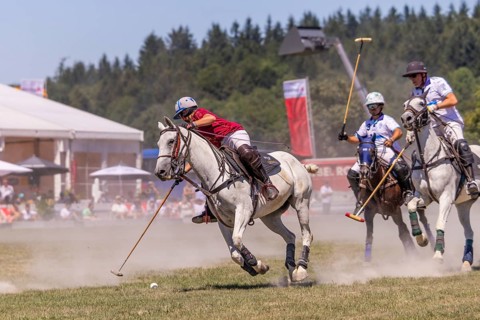 Polo player, polo horse, polo pony (Equus), rider, polo tournament, 1295 Polo Masters, Sylvenstal,
