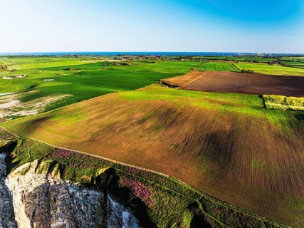 Farm and Fields over Bempton Cliffs from a drone, Yorkshire, England, United Kingdom