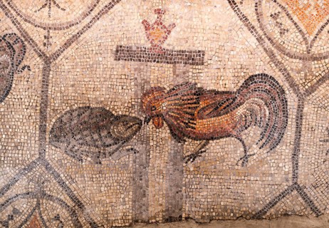 Mosaic with geometric pattern and depiction of rooster and turtle, North Hall, Basilica di Santa