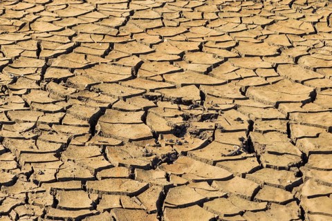 Dried ground of the Lehnmühle dam, Dippoldiswalde, Saxony, Germany