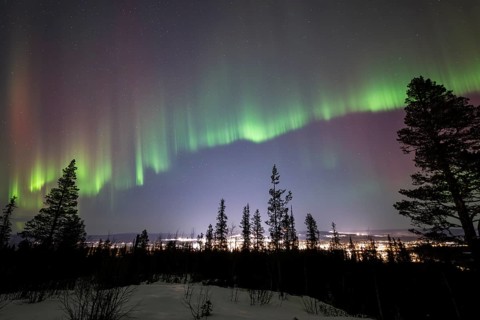 Northern Lights (Aurora borealis), Gällivare, Norrbotten, Lapland, Sweden, December 2024