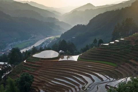 Rice terraces during the planting of new fresh green rice, the new fresh green rice seedlings at Mù