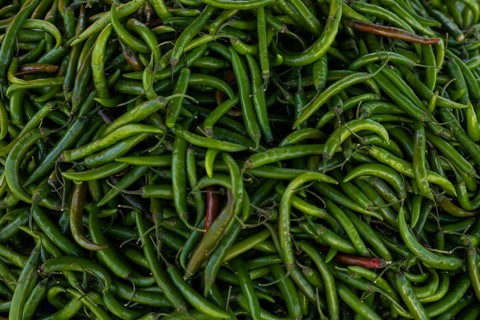 Large pile of fresh green chili peppers