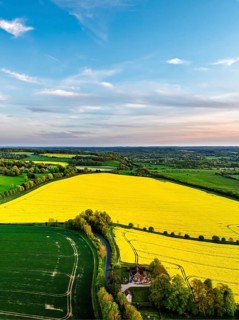 Rapeseed Fields and Farms over Horsebridge nad Stockbridge from a drone, Hampshire, England, United