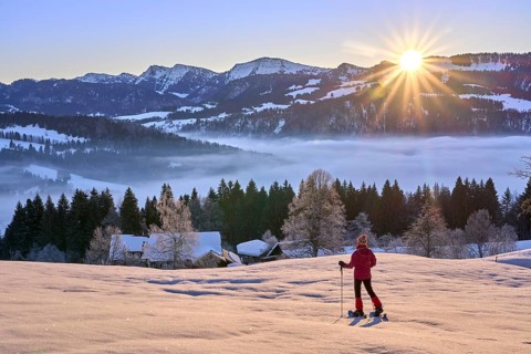 Sportive woman watching sunrise over the Nagelfluh mountain chain with Hochgrat summit in the