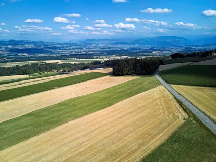 View of the Reuss Valley in the foreground harvested cornfields, Schlatt, Canton of Aargau,