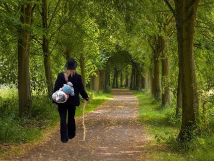 Hiking trail through the beech alley with a hiking craftswoman
