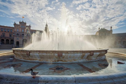A foreground duck stands before the central fountain spraying water in Plaza de Espana square in