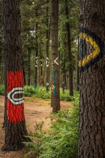The painted forest Bosque de Oma, land art project in Kortezubi, Basque Country, Spain