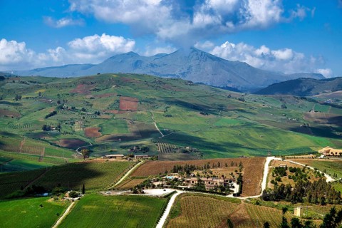 Landscape near Segesta, Trapani Province
