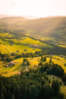 Wide hills and forest landscape viewed from the air under low sun, Oberstaufen region, Allgäu,