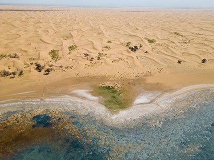 Aerial view, Swan Lake in front of moving sand dunes, salt lake in the Tengger Desert, part of the