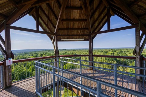 The Königsbrücker Heide is situated in Western Lusatia, north of Königsbrück. Covering an area of
