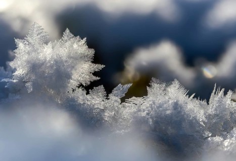 Detail, ice, ice crystal, frost, snow, winter
