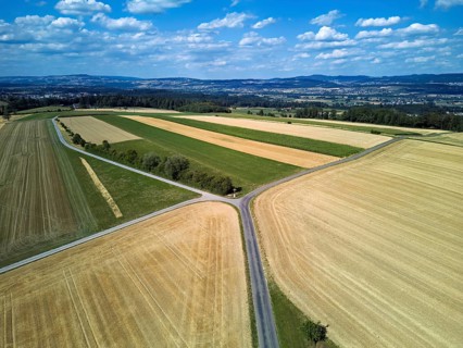 Harvested cornfields in the hamlet of Winterschwil, Beinwil, Freiamt, Canton of Aargau, Switzerland