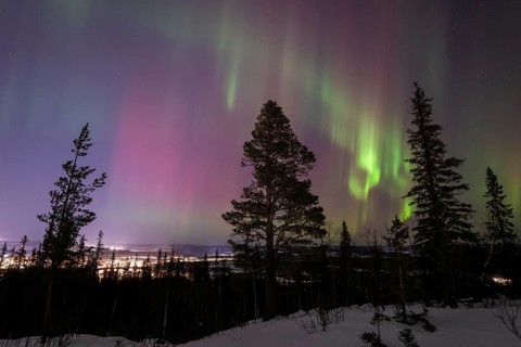 Northern Lights (Aurora borealis), Gällivare, Norrbotten, Lapland, Sweden, December 2024