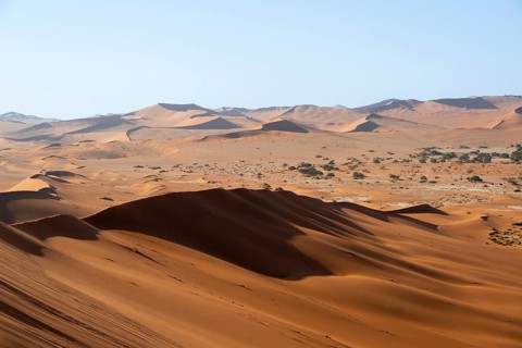 Red and yellow sand dunes of the Namib, Namib Desert, Namib-Naukluft National Park, Namibia