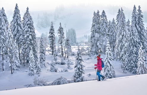 Nice and active senior woman hiking with snow shoes in deep powder snow in the Hochhaedrich area of