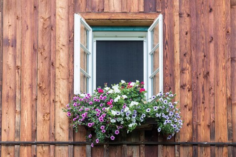 Open window with lush flowers in a flower box, wooden façade, residential building in Gössl,
