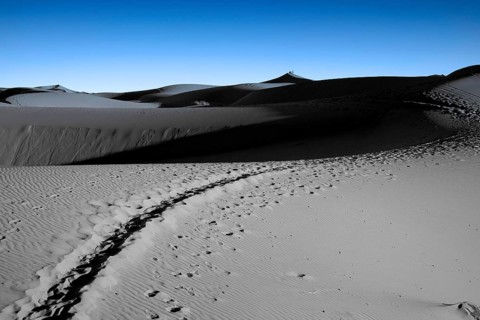 Desert landscape of the Sahara, near Erg Chebbi, Moroccan Sahara, evening mood, blue hour, desert,