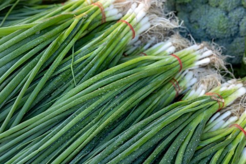 Bundles of fresh spring onions tied with red bands, displayed on a market stall