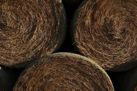 Straw bales stored in field, agriculture, Schmidener Feld, Schmiden bei Fellbach, sky, blue,