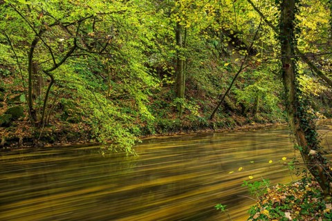 Autumn on a stream in the Elbe Sandstone Mountains in the Saxon Switzerland National Park, Lohmen,