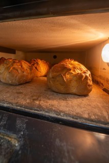 Freshly baked breads with crispy crust in a heated oven, bake bread, Haselstaller Hof, Gechingen,