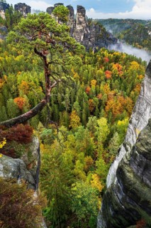 Autumn in the Elbe Sandstone Mountains in the Saxon Switzerland National Park, Lohmen, Saxony,