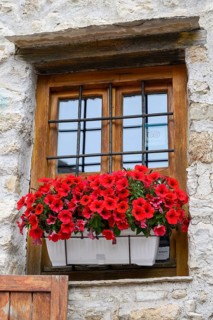 A window box with red petunias, Mostar, Bosnia and Herzevogina