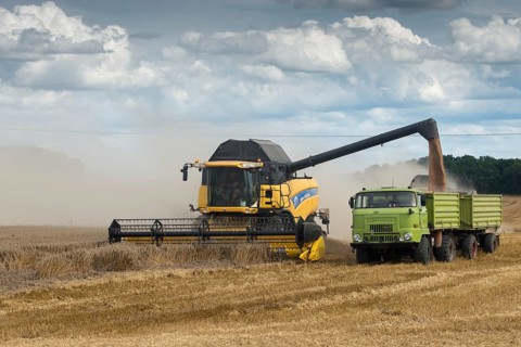 Harvest, industrial agriculture, intensive agriculture, combine harvester