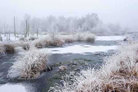 Winter with hoarfrost and snow in Goldenstedter Moor, Goldenstedt, Lower Saxony, Germany