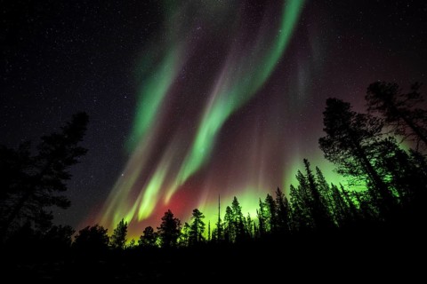 Northern Lights (Aurora borealis), Norrbotten, Lapland, Sweden, October 2022