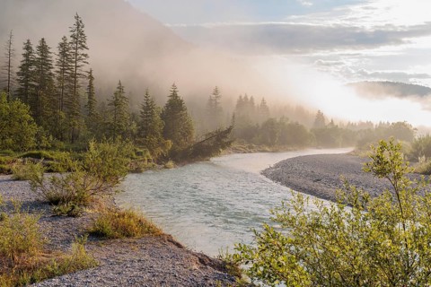 Isar valley nature conservancy area. The wild Isar river flows through its gravel bed past