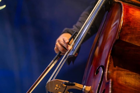 Close-up of a hand playing a cello with focus on the bow, Calwer Klostersommer Festival, Hirsau