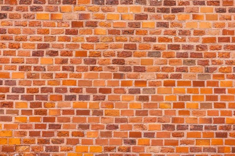 A close-up view of a textured brick wall. The wall features a mix of orange and brown bricks