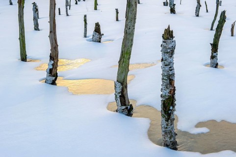 Winter landscape with snow in Rehdener Geestmoor, Rehden, Lower Saxony, Germany