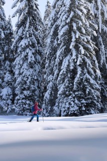 Nice and active senior woman hiking with snow shoes in deep powder snow in the Hochhaedrich area of