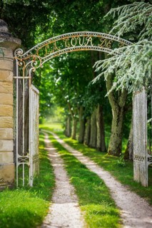 Romantic trail through an avenue in the Mèdoc region, France