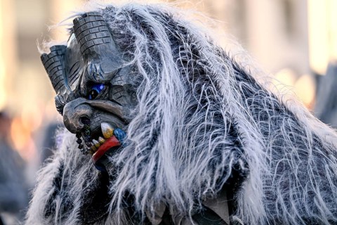 Member of a fools' guild in traditional Haes, fools' clothes, during the carnival procession in
