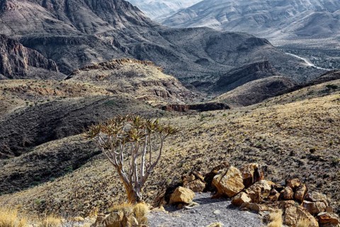 Landscape at the Köcherbaum Gorge in the Naukluft Mountains, Quiver Tree, barren, tourism, desert,