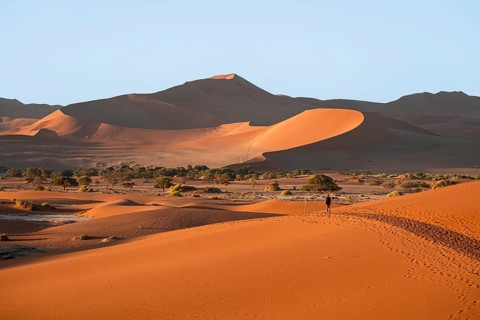 Red sand dunes, Sossusvlei region, Namib Desert, Namib-Naukluft National Park, Namibia