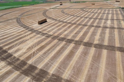 Loveland, Colorado - An aerial view of a hay field, after the harvest